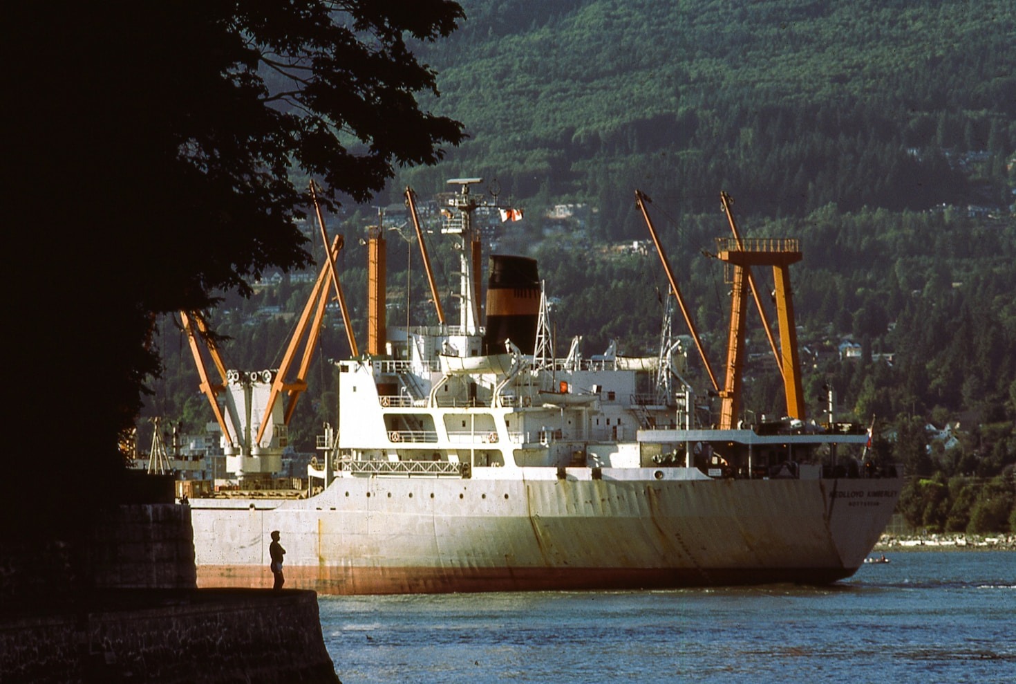 The Role of Trucking in Modern Supply Chains